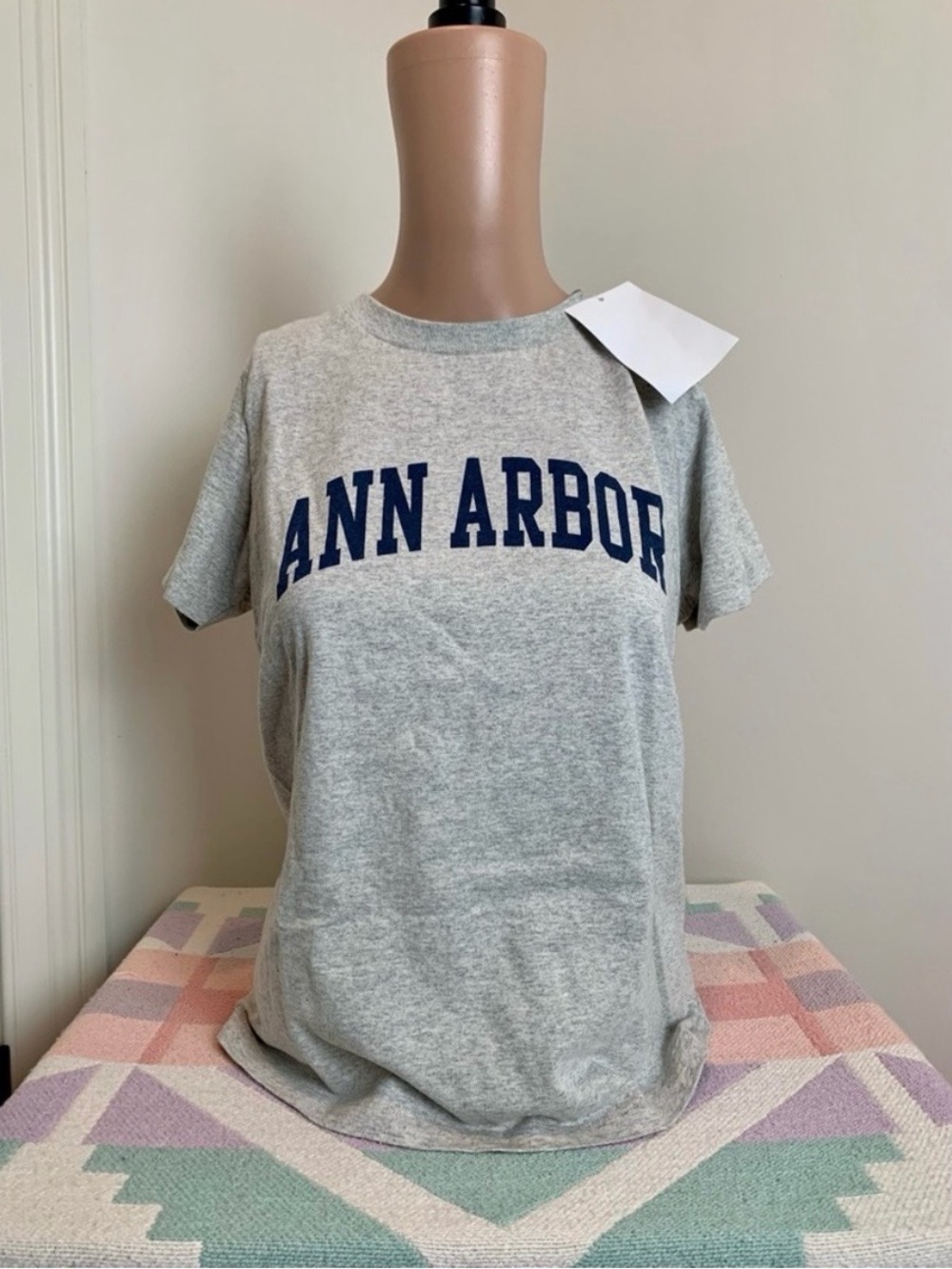 Brandy Melville Gray Tee with Navy 'ANN ARBOR' Print